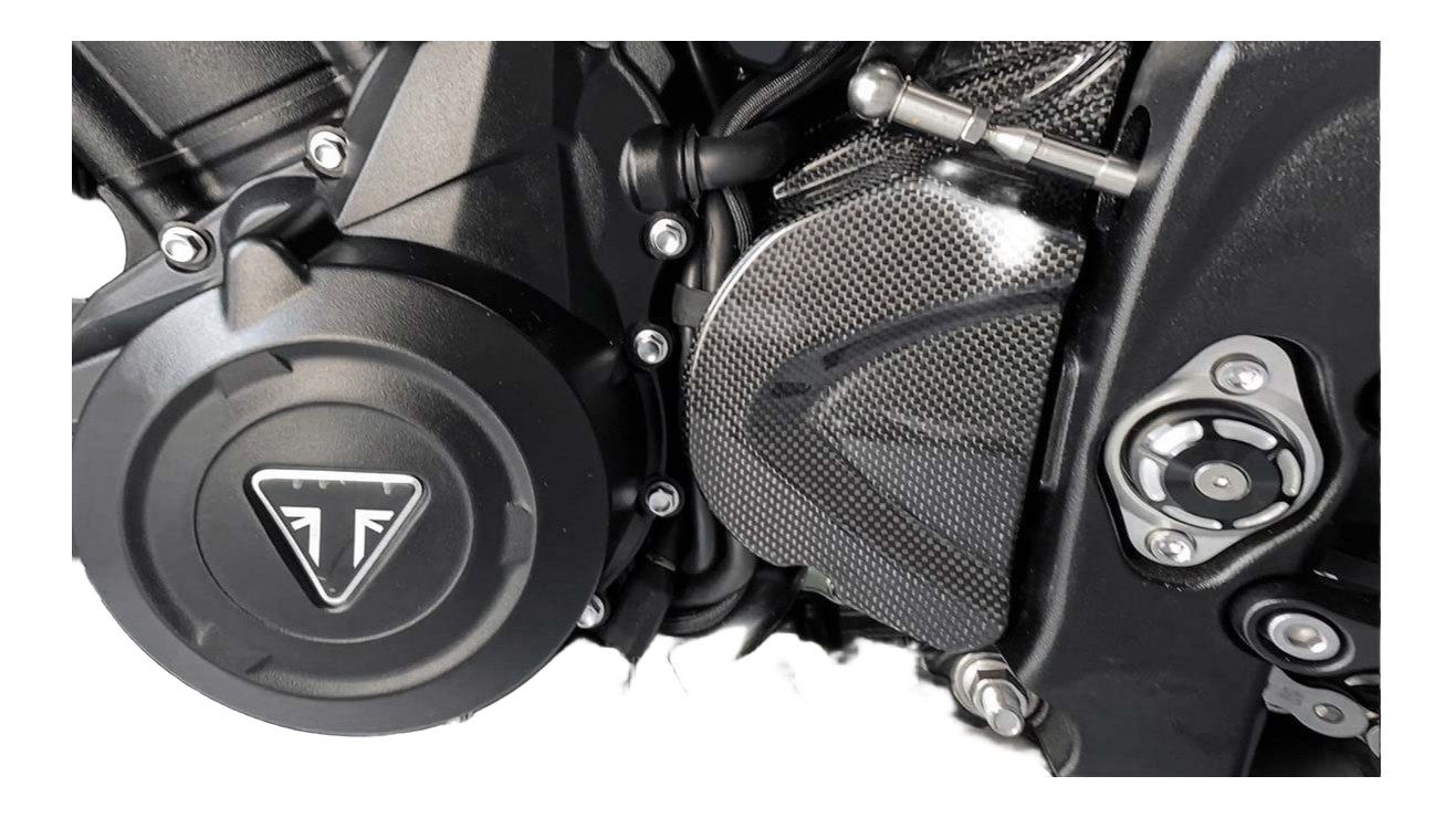 CACHE PIGNON SORTIE DE BOITE EN CARBONE POUR TRIUMPH 765 (CRB94L)