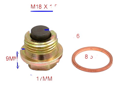 Bouchon magnétique de vidange avec joint pour RS660