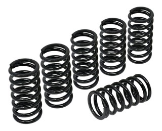 RESSORTS D'EMBRAYAGE H45 CNC RACING BMW S1000 RR 2009-2018 (MO345B)