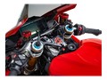 TE SUPÉRIEUR DUCABIKE PANIGALE V4 2025 (PSS10)