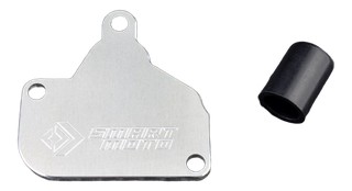Plaque suppression antipollution valve AIS système pair KTM, HUSQVARNA SmartMoto (BLP-107)
