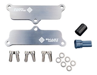 Plaque suppression antipollution valve AIS système pair V-Max 1700 2009-2016 (PLE-112)