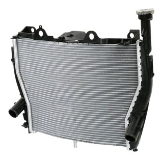 Radiateur d'eau Brazoline pour BMW S1000RR 2009-2018