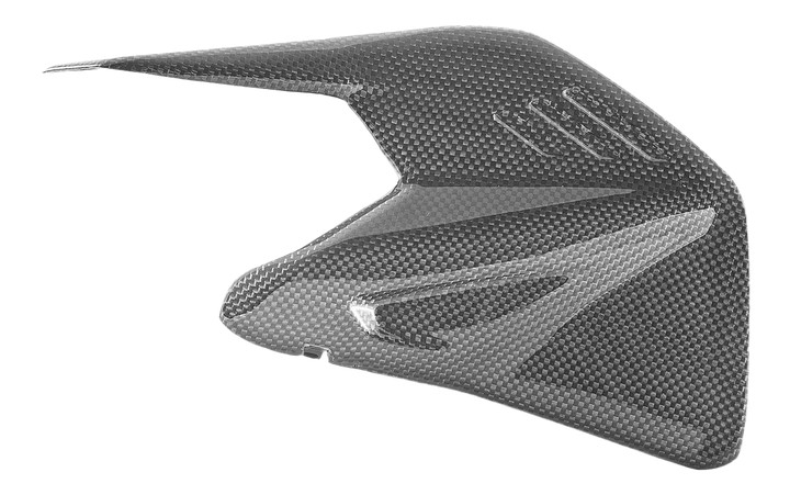 PROTECTION DE BRAS OSCILLANT DUCABIKE CARBONE BRILLANT PANIGALE V4 2025 (CRB234L)