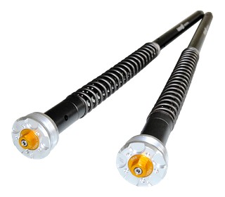 KIT CARTOUCHE FOURCHE ANDREANI EVOLUTION 2 KTM SUPER DUKE 1290 R 2020-2023 (305/KT14E)