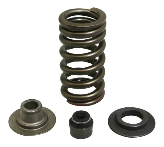 KIT RESSORT SOUPAPES ECHAPPEMENT ORIGINE APRILIA 1000 RSV4 2015-2016 (2R000260)