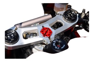 Ecrou de colonne de direction Ducabike pour Ducati Panigale V4 2018-2024, SF V4 2020-2026 (GS02)