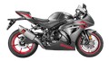 LIGNE COMPLÈTE AKRAPOVIC 1000 GSXR 2017›2020 (S-S10R11-APLT)