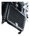 GRILLE DE RADIATEUR R&G POUR BMW