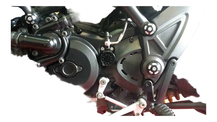 Vue sur une Ducati Diavel