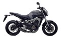 Ligne Termignoni carbone Yamaha MT-09 2014›2018
