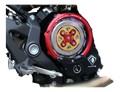 Carter moteur d'embrayage taillé masse Ducabike (CCDV02)