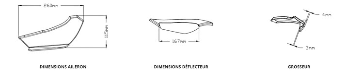 Ailerons Kawasaki ZX10R