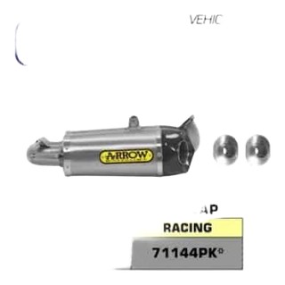 PAIRE DE SILENCIEUX ARROW POUR PANIGALE 959 (71144PK)