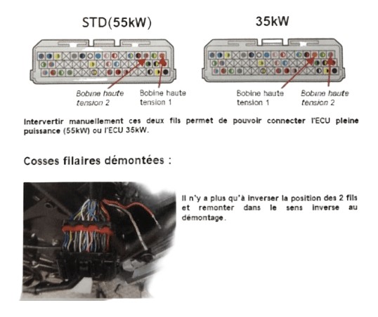 fils à intervertir dans le cas d'une reprogrammation pour débridage