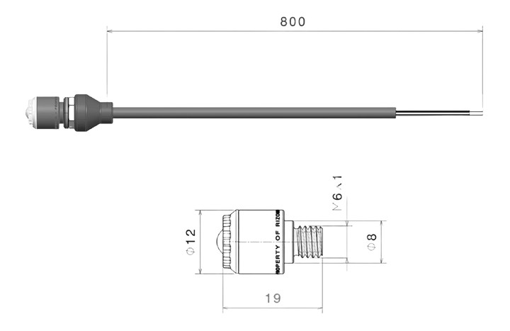 Paire de clignotants homologués RIZOMA