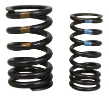 Kit ressorts de soupape d'admission APRILIA 17›23(1A008432)