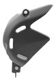CACHE PIGNON CARBONE DUCATI PANIGALE V4 / V4S / V4SP / V4R