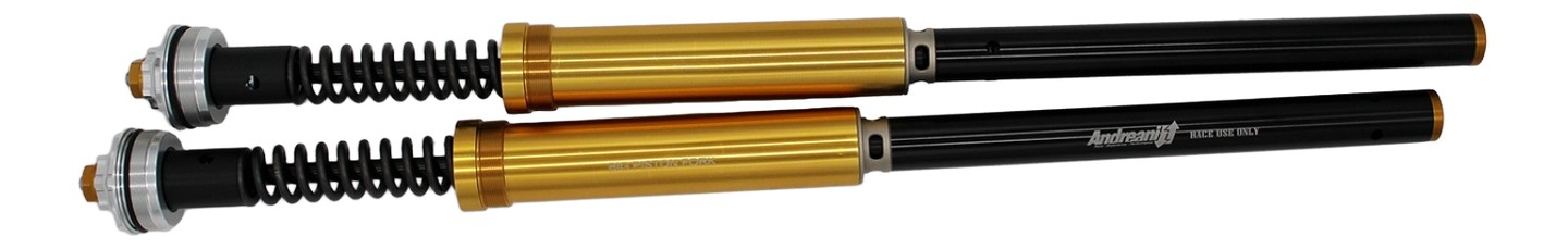 KIT CARTOUCHE ANDREANI DUCATI PANIGALE 899 / 959 2013-2019