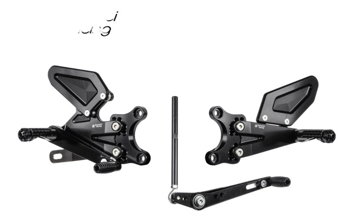 COMMANDES RECULÉES BONAMICI TRIUMPH STREET TRIPLE 765 S / R / RS 2017-2022 (TH06)