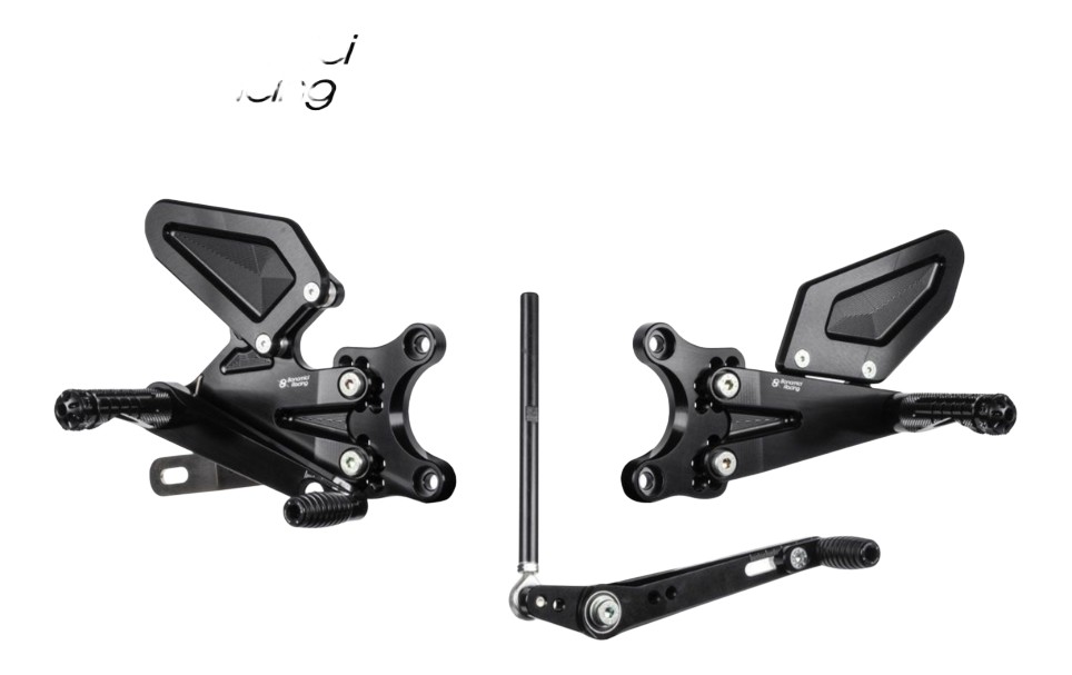 COMMANDES RECULÉES BONAMICI TRIUMPH STREET TRIPLE 765 S / R / RS 2017-2022 (TH06)