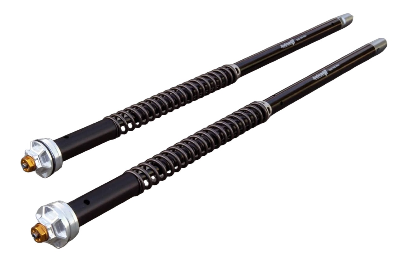 KIT CARTOUCHE ANDREANI DUCATI 1000 SSIE 2003-2006 (105/D43E)